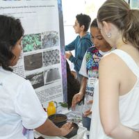 VI Mostra de Iniciação Científica no Pantanal