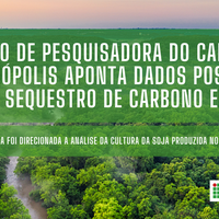 Estudo de pesquisadora do Campus Rondonópolis aponta dados positivos sobre sequestro de Carbono em MT