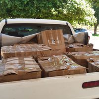 IFMT Rondonópolis entrega cerca de 500 kg de alimentos para Lar dos Idosos