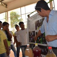 Campus Confresa: Alunos indígenas realizam mostra de trabalhos na conclusão do curso técnico subsequente em Agroecologia
