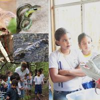 Fauna no Campus Cáceres: Projeto mobiliza estudantes da educação básica e do ensino superior para a conservação ambiental
