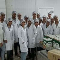 Campus Confresa: Alunos do curso técnico em agroindústria visitam indústrias no Tocantis 