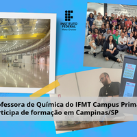 Professora do Campus Primavera do Leste do IFMT participa de formação na Escola Sírius de SP