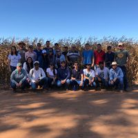 Estudantes do IFMT fazem visita técnica à fazenda Joaçaba, em Diamantino