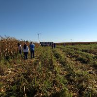 Estudantes do IFMT fazem visita técnica à fazenda Joaçaba, em Diamantino