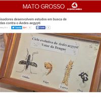 Professora do IFMT coordena pesquisa sobre a variabilidade genética do mosquito Aedes aegypti na grande Cuiabá e regiões e a resistência a inseticidas